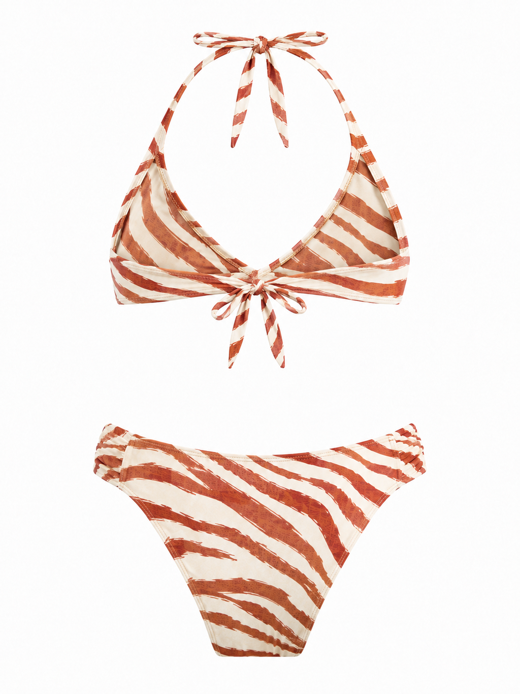 Bikini Salinas